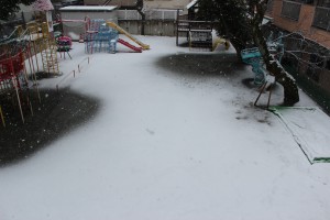 雪